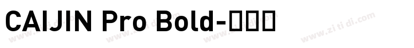 CAIJIN Pro Bold字体转换